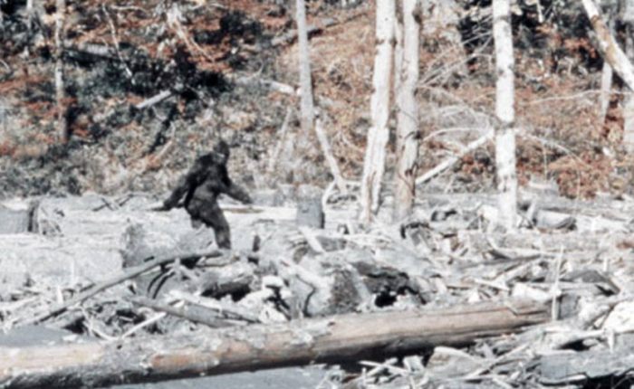 The Gun Show&nbsp;Loophole